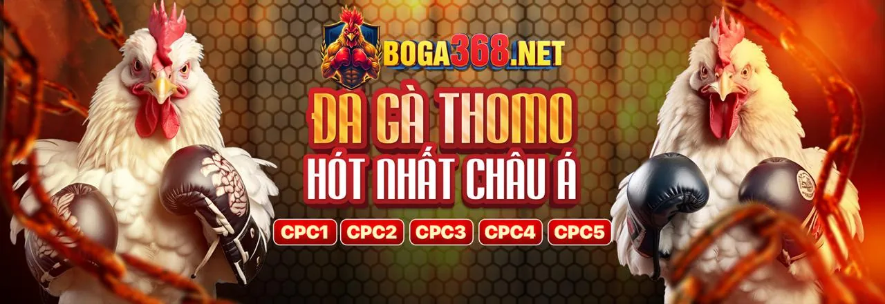 Các cấp độ VIP của 8ok